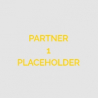 Partner 1 (external)