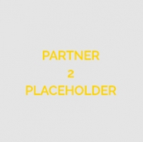 Partner 2 (external)