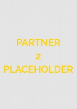 Partner 2 (external)
